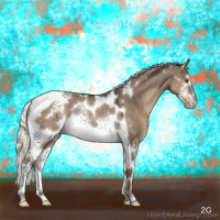 Horse Color:White Spotted Liver Red Dun Mushroom Tobiano Rabicano 