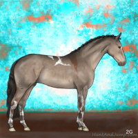 Horse Color:Liver Red Dun Sabino Tobiano Rabicano 