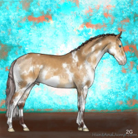 Horse Color:White Spotted Chocolate Buckskin Dun Sabino Splash Rabicano