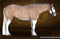 Horse Color:Silver Buckskin Roan Splash Rabicano 