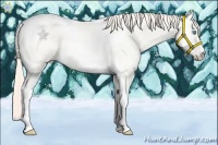Horse Color:White Spotted Perlino Dun Tobiano 