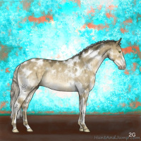 Horse Color:Chocolate Palomino Dun Mushroom Splash Tobiano Rabicano 