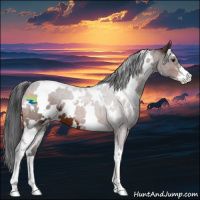 Horse Color:White Spotted Brown Sabino 