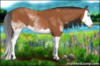 Horse Color:White Spotted Bay Splash  and Bay Splash 