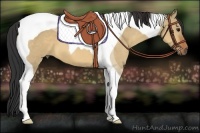 Horse Color:Bay Dun Tobiano 