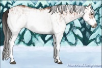 Horse Color:White Spotted Bay Splash  and White Spotted Bay Splash Frame 