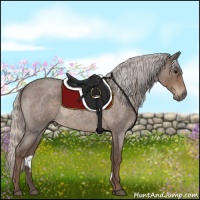 Horse Color:Silver Blue Roan 
