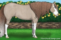 Horse Color:Liver Red Dun Roan Splash 
