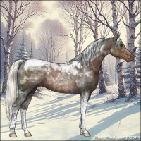 Horse Color:Liver Chestnut Mushroom Tobiano 