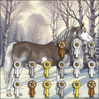 Horse Color:Liver Chestnut Mushroom Splash 