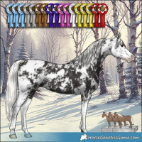 Horse Color:Liver Chestnut Mushroom Sabino