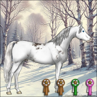 Horse Color:Liver Chestnut Mushroom Sabino Splash