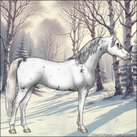 Horse Color:Liver Chestnut Mushroom Sabino 