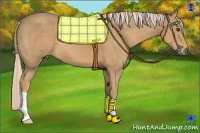 Horse Color:Palomino