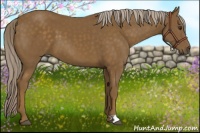 Horse Color:Chocolate Palomino 