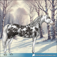 Horse Color:Liver Chestnut Mushroom Sabino 