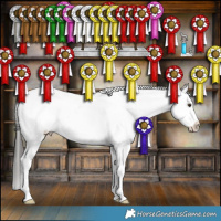 Horse Color:Liver Red Dun Appaloosa Brindle 