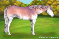 Horse Color:Watercolor Silver Blue Onyx Splash 