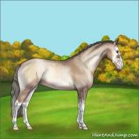 Horse Color:Liver Red Onyx Pearl Mushroom Sabino Splash