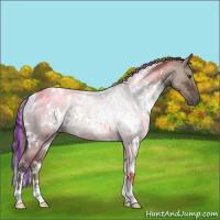 Horse Color:Painted White Spotted Liver Red Dun Ice Roan