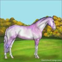 Horse Color:Watercolor Silver Brown Ice Onyx
