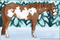 Horse Color:Chestnut Frame