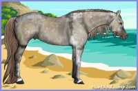 Horse Color:White Spotted Liver Red Dun Tobiano 