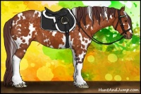 Horse Color:White Spotted Chocolate Buckskin 