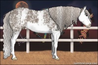 Horse Color:White Spotted Silver Grullo Splash 