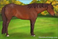 Horse Color:Chocolate Brown 
