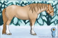 Horse Color:Chestnut Pearl
