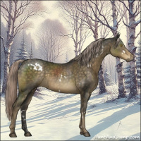 Horse Color:White Spotted Chocolate Palomino Mushroom 