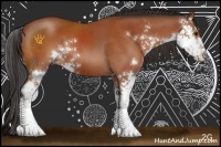 Horse Color:Brown Sabino 
