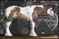 Horse Color:Liver Chestnut Sabino Tobiano 