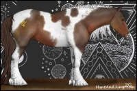 Horse Color:Liver Chestnut Sabino Tobiano 