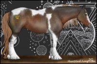 Horse Color:Liver Chestnut Sabino Tobiano 