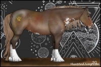 Horse Color:Liver Chestnut Sabino Rabicano 