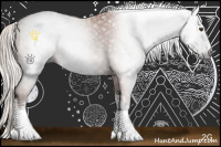 Horse Color:Gray Silver Bay Sabino Rabicano 