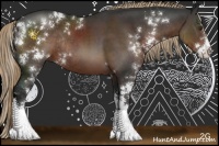 Horse Color:Liver Chestnut Sabino Rabicano 