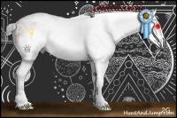 Horse Color:Gray Bay Sabino Frame Rabicano 