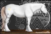 Horse Color:Gray Liver Chestnut Sabino Rabicano 