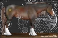 Horse Color:Liver Chestnut Sabino Rabicano 