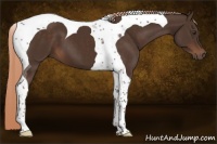 Horse Color:Liver Chestnut Tobiano 