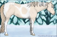 Horse Color:Perlino Tobiano