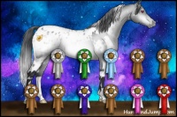 Horse Color:White Spotted Bay Chinchilla Appaloosa 