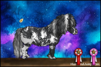 Horse Color:White Spotted Black 