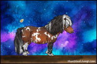 Horse Color:White Spotted Bay 