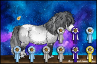 Horse Color:White Spotted Brown Chinchilla Varnish 