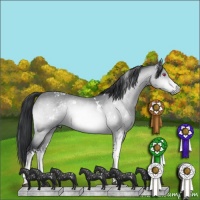 Horse Color:White Spotted Bay Chinchilla 