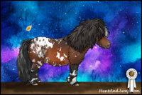Horse Color:White Spotted Brown Blanket 